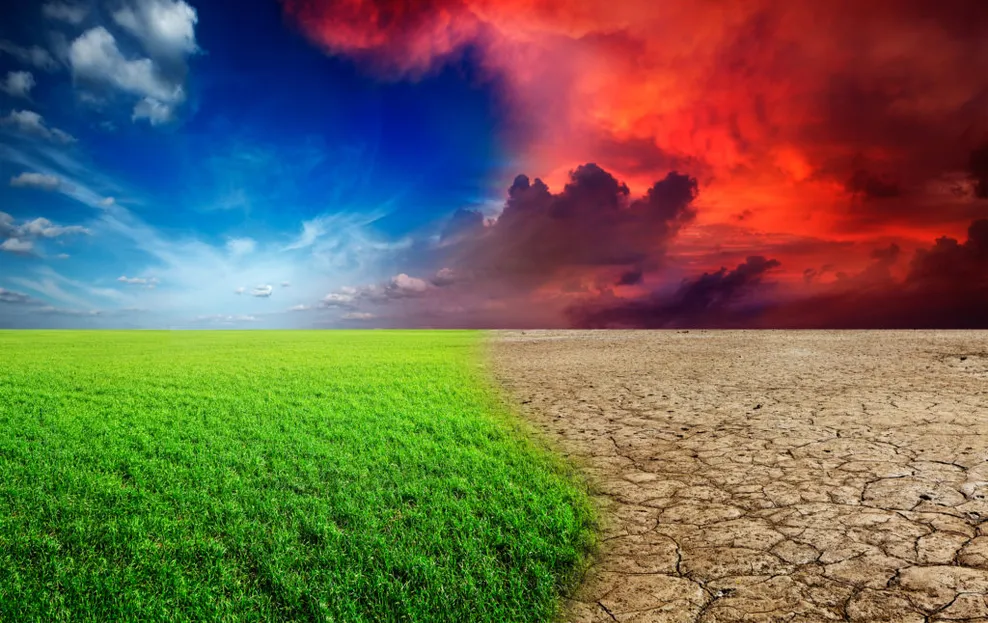 Soluciones para cubierta con las que luchar contra el cambio climático
