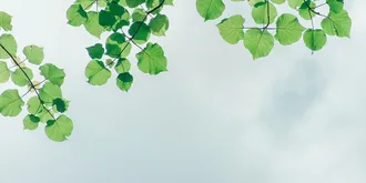 Ventajas y beneficios de un edificio bien aislado