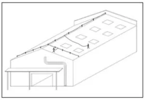 linea-de-vida-4